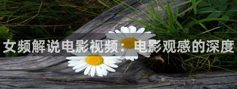 77神马电影网