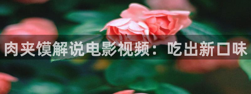 神马电影理伦在线观看