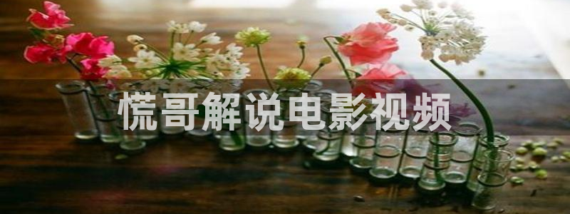神马电影手机在线不卡