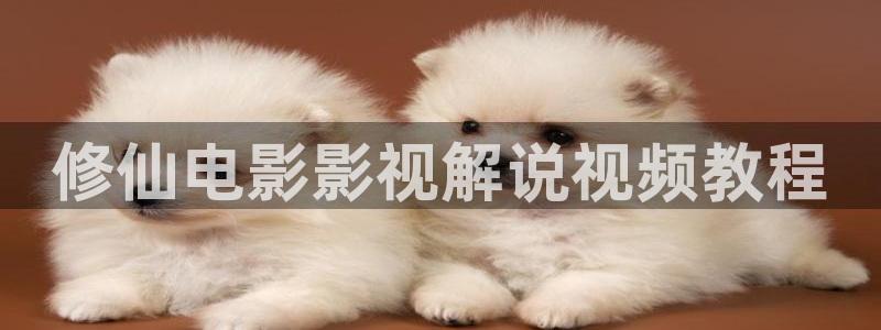 排球少年第三季神马影院