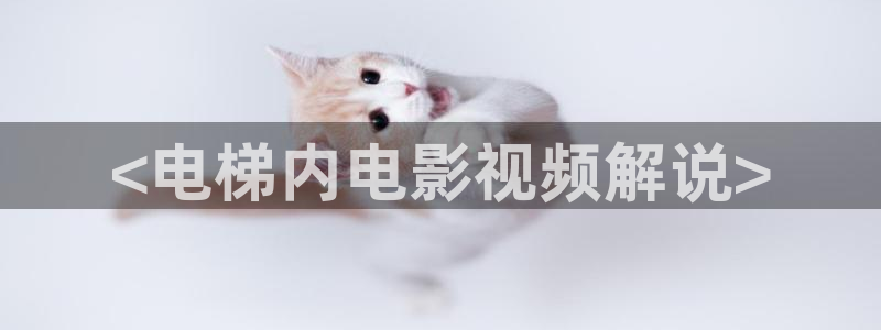 神马我不卡视频
